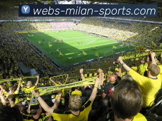 买球官网APP 封面图